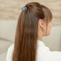 Kleine ronde haarspeld fijn tot normaal haar clips